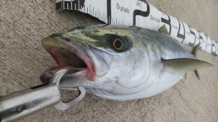 必死のランディング