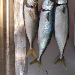 ナイトゲーム楽しかった!