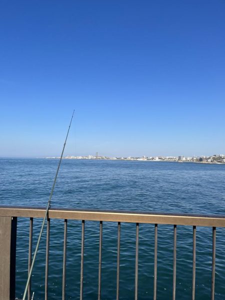 魚より人が多い