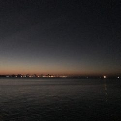 仕事前から短時間釣行