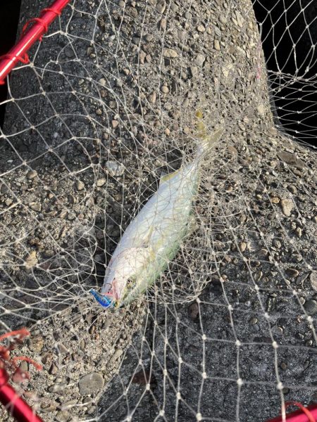 渋いながらも…