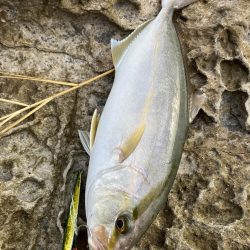 ショアジギ遠征