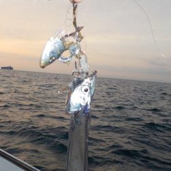 テンヤタチウオ