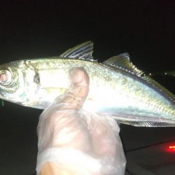 満足のナイトゲーム