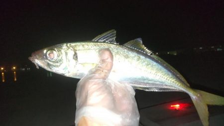 満足のナイトゲーム