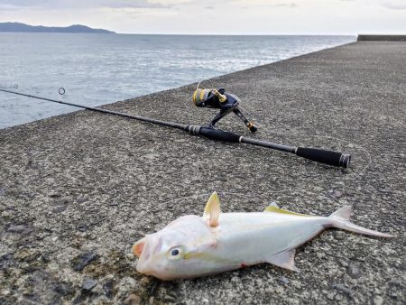 ネイリとカマス