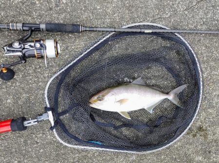 今日も奴が居た(笑)