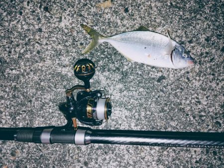 シマアジ釣りたいのに大ボラが。