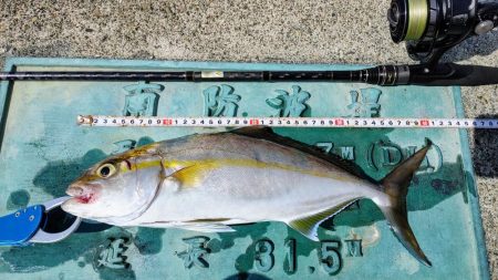 今日も安定のネイリ(苦笑;)