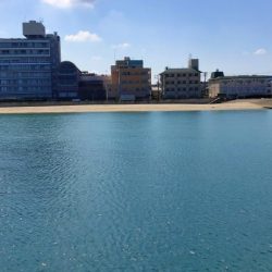 淡路島 釣り旅行