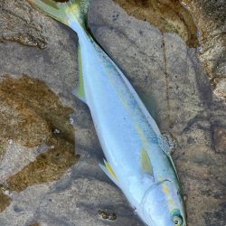 なかなか結果が