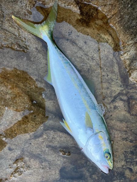 なかなか結果が