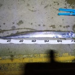 ぶら～っと夜釣り