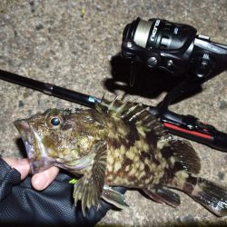 2022/10/05 南港ライトゲーム釣行