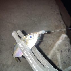 ギョーザとビールは合う