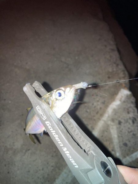 ギョーザとビールは合う