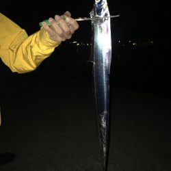 水曜日の小潮釣果