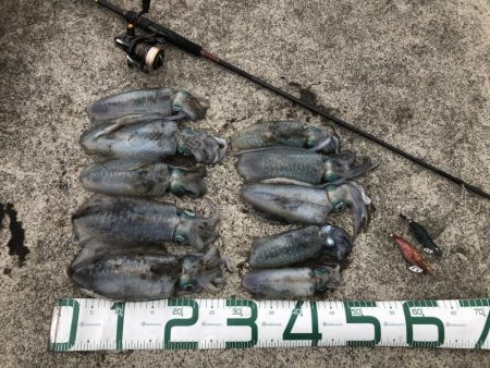 2022 佐渡ヶ島エギング 23回目【10月4日】