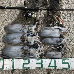 2022 佐渡ヶ島エギング 24回目【10月6日】