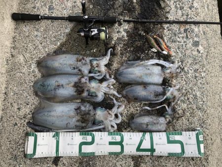 2022 佐渡ヶ島エギング 24回目【10…