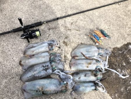 2022 佐渡ヶ島エギング 25回目【10…