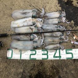 2022 佐渡ヶ島エギング 26回目【10月10日】