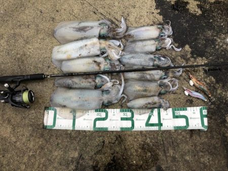 2022 佐渡ヶ島エギング 26回目【10月10日】