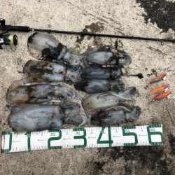 2022 佐渡ヶ島エギング 27回目【10月12日】