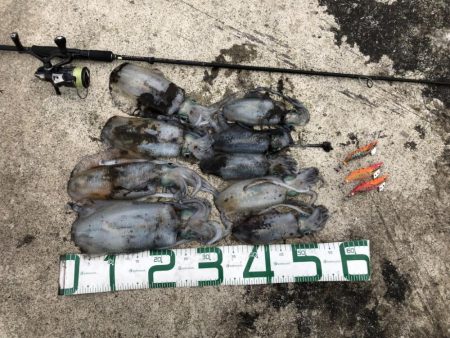 2022 佐渡ヶ島エギング 27回目【10月12日】