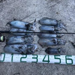 2022 佐渡ヶ島エギング 28回目【10月13日】