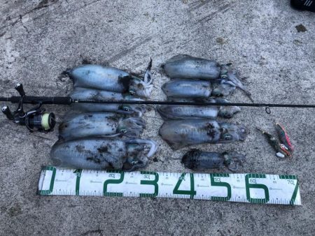 2022 佐渡ヶ島エギング 28回目【10…