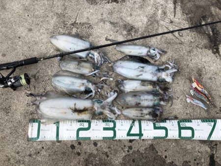 2022 佐渡ヶ島エギング 29回目【10月16日】