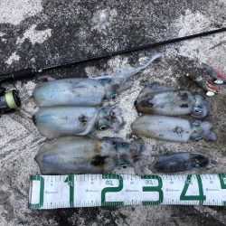 2022 佐渡ヶ島エギング 30回目【10月17日】