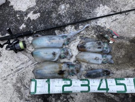 2022 佐渡ヶ島エギング 30回目【10月17日】