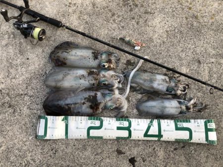 2022 佐渡ヶ島エギング 31回目【10…