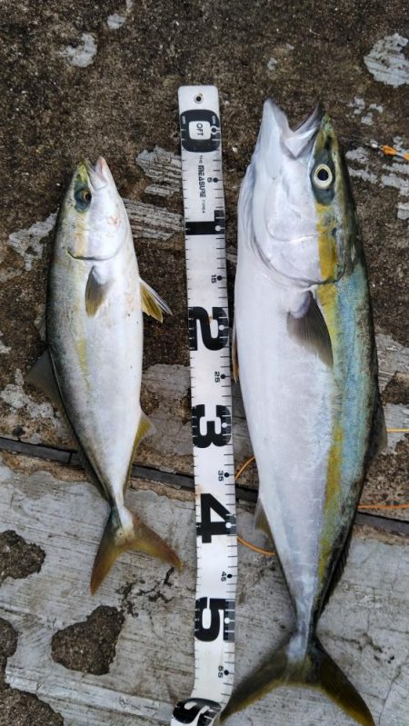 周りに迷惑を掛けないように！