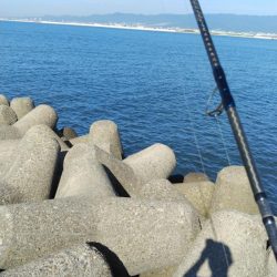 人ゴミさけて！