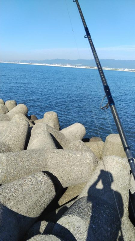 人ゴミさけて！