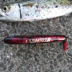 青物はどこへ？