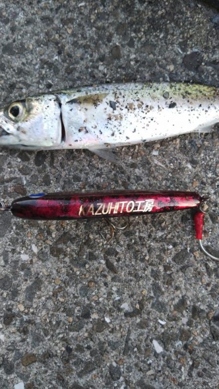 青物はどこへ？