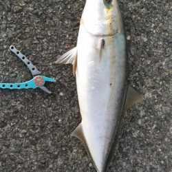 久しぶりです！