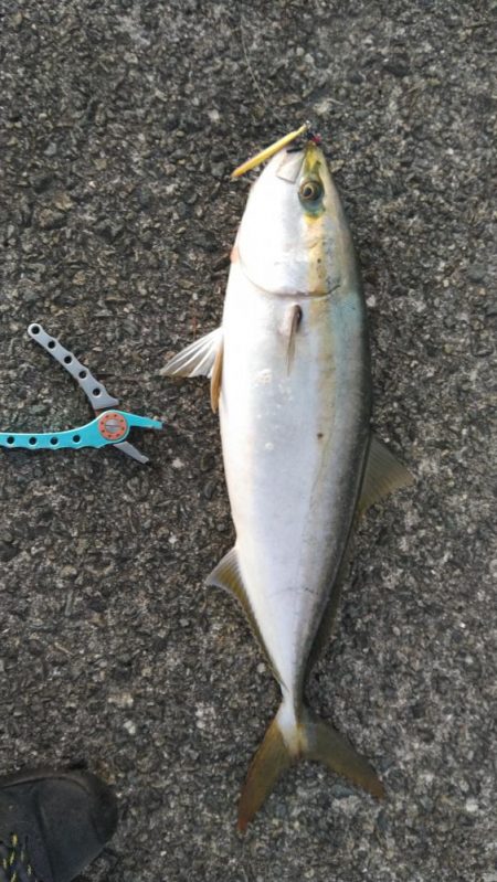 久しぶりです！