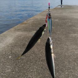 釣り座争い激化！