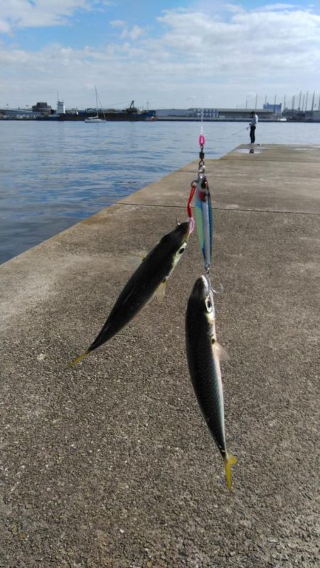 釣り座争い激化！