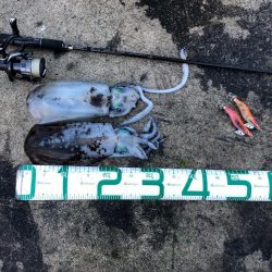 2022 佐渡ヶ島エギング 35回目【10月25日】