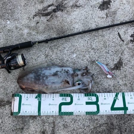 2022 佐渡ヶ島エギング 36回目【10月26日】