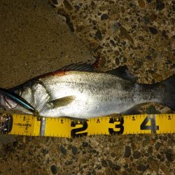 荒れ気味のコンディションにて