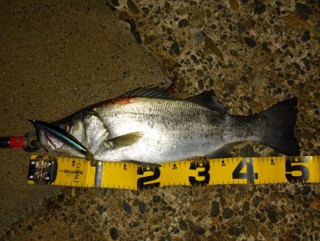 荒れ気味のコンディションにて