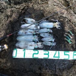 2022 佐渡ヶ島エギング 19回目【9月29日】