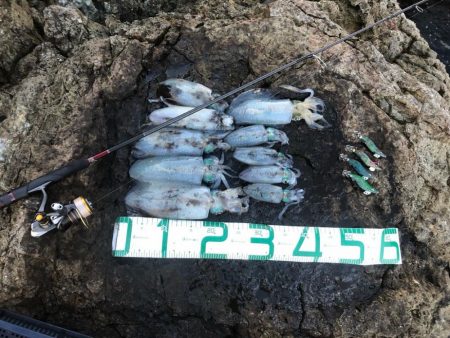 2022 佐渡ヶ島エギング 19回目【9月29日】